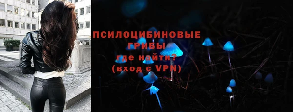 PSILOCYBIN Навашино