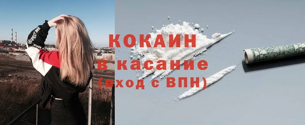 дживик Надым