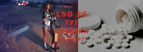PSILOCYBIN Навашино
