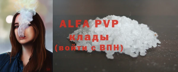 дживик Надым