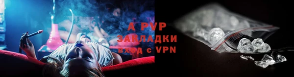 дживик Надым