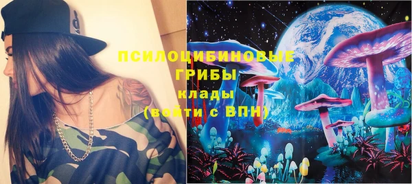 дживик Надым