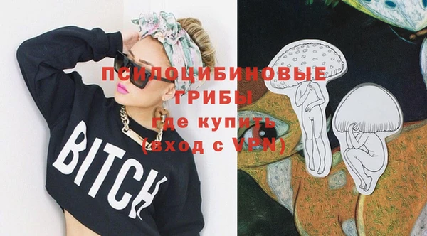 PSILOCYBIN Навашино