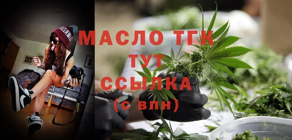 дживик Надым
