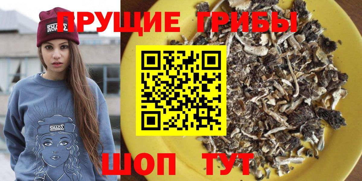Набережные Челны  Псилоцибиновые грибы прущие грибы  Вход с VPN 
