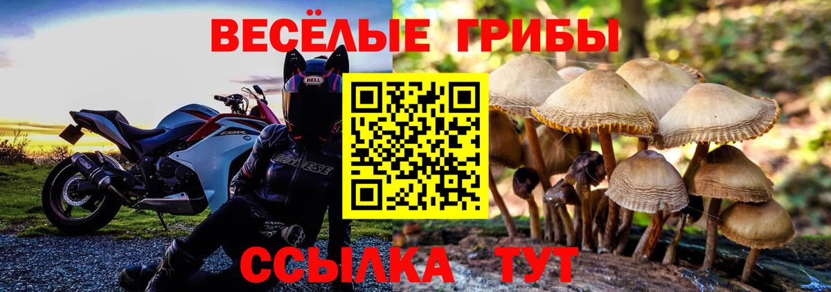Псилоцибиновые грибы Psilocybe Набережные Челны