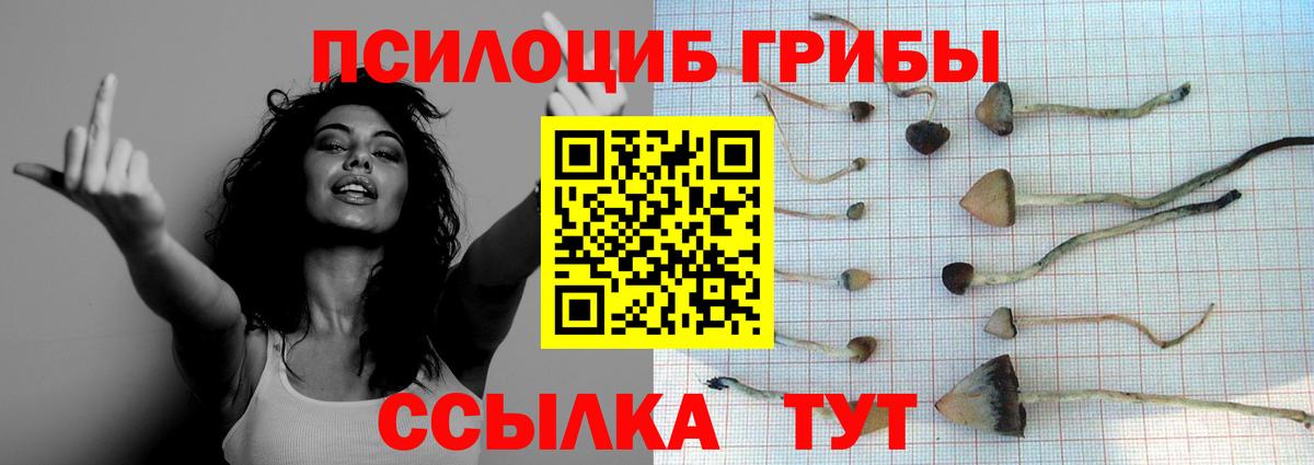 Галлюциногенные грибы мицелий  Набережные Челны 